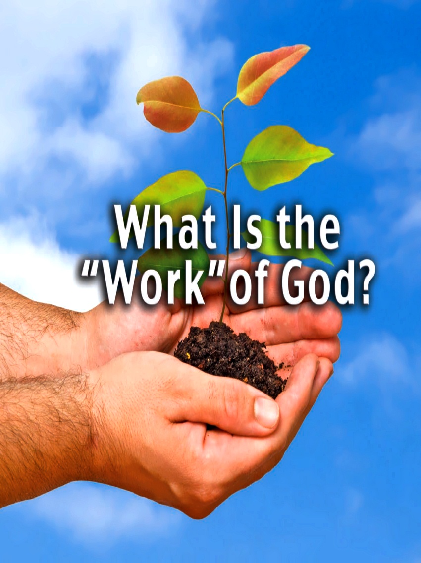 What Is The Work Of God Tomorrow s World