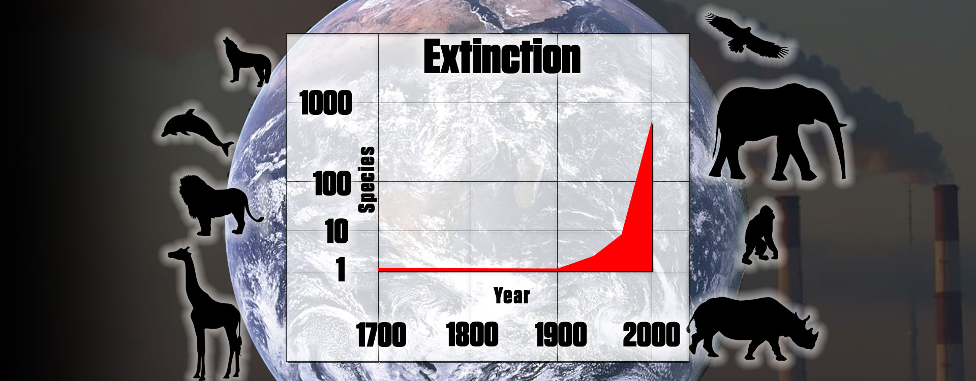 huge-animal-population-decline-tomorrow-s-world