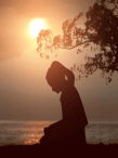 A woman praying on a beach by a tree at sunset