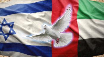 Flags of Israel and UAE with a dove between them