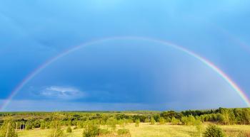 A field of trees under a rainbow and a deep blue sky