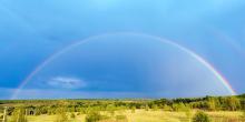 A field of trees under a rainbow and a deep blue sky